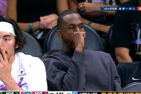 开云体育网页版登录热火球星三分绝杀，全场观众热烈欢呼，语言服务特别以上.